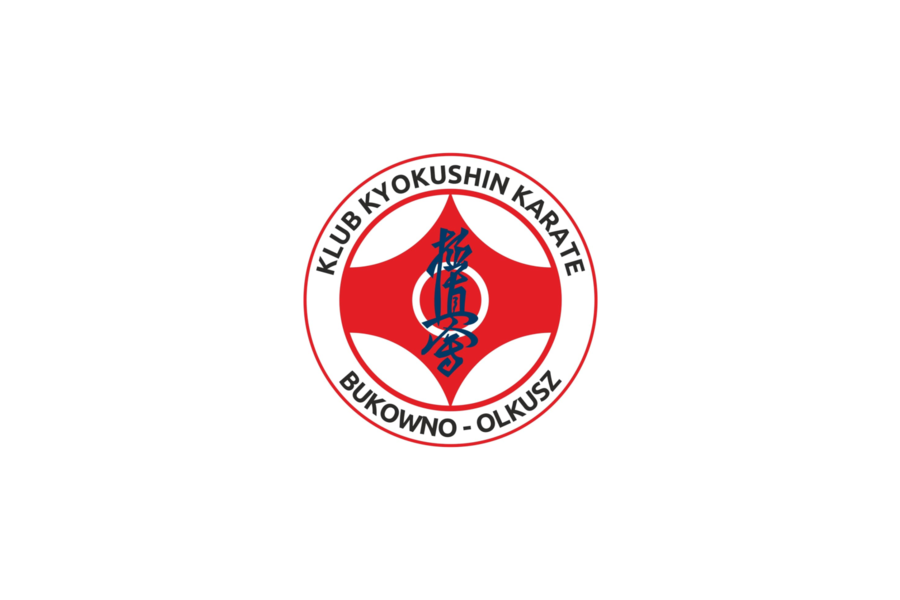 Obraz dla aktualności o tytule: Srebrny medal Mateusza Lisa na IX Ogólnopolskim Turnieju Karate Kyokushin SARI CUP w Żorach.