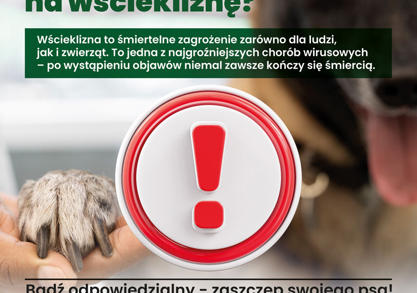 Obraz dla aktualności o tytule: Wścieklizna - śmiertelne zagrożenie dla ludzi i zwierząt