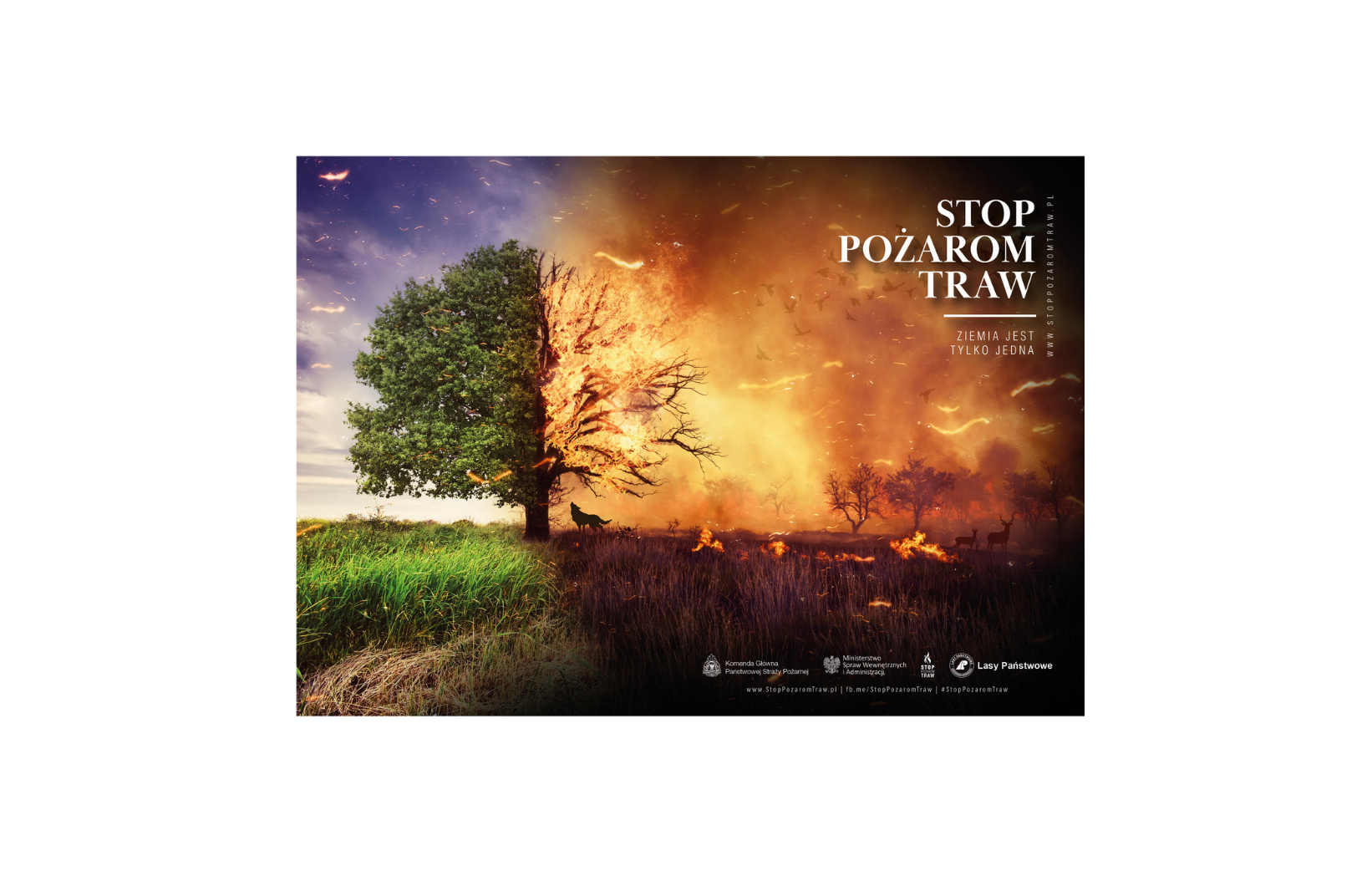 plakat "STOP POŻAROM TRAW"