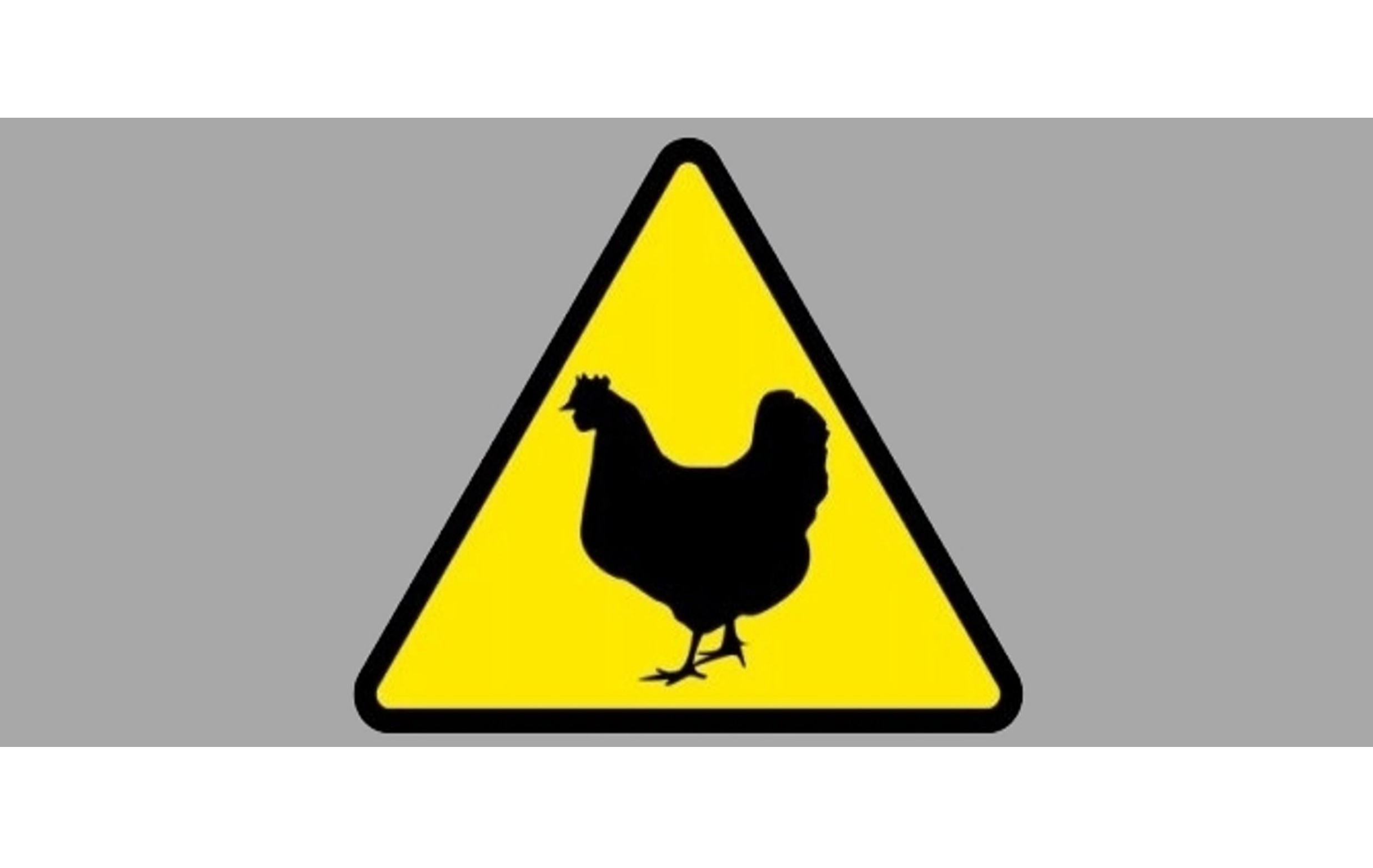 Ilustracja ostrzegająca o HPAI