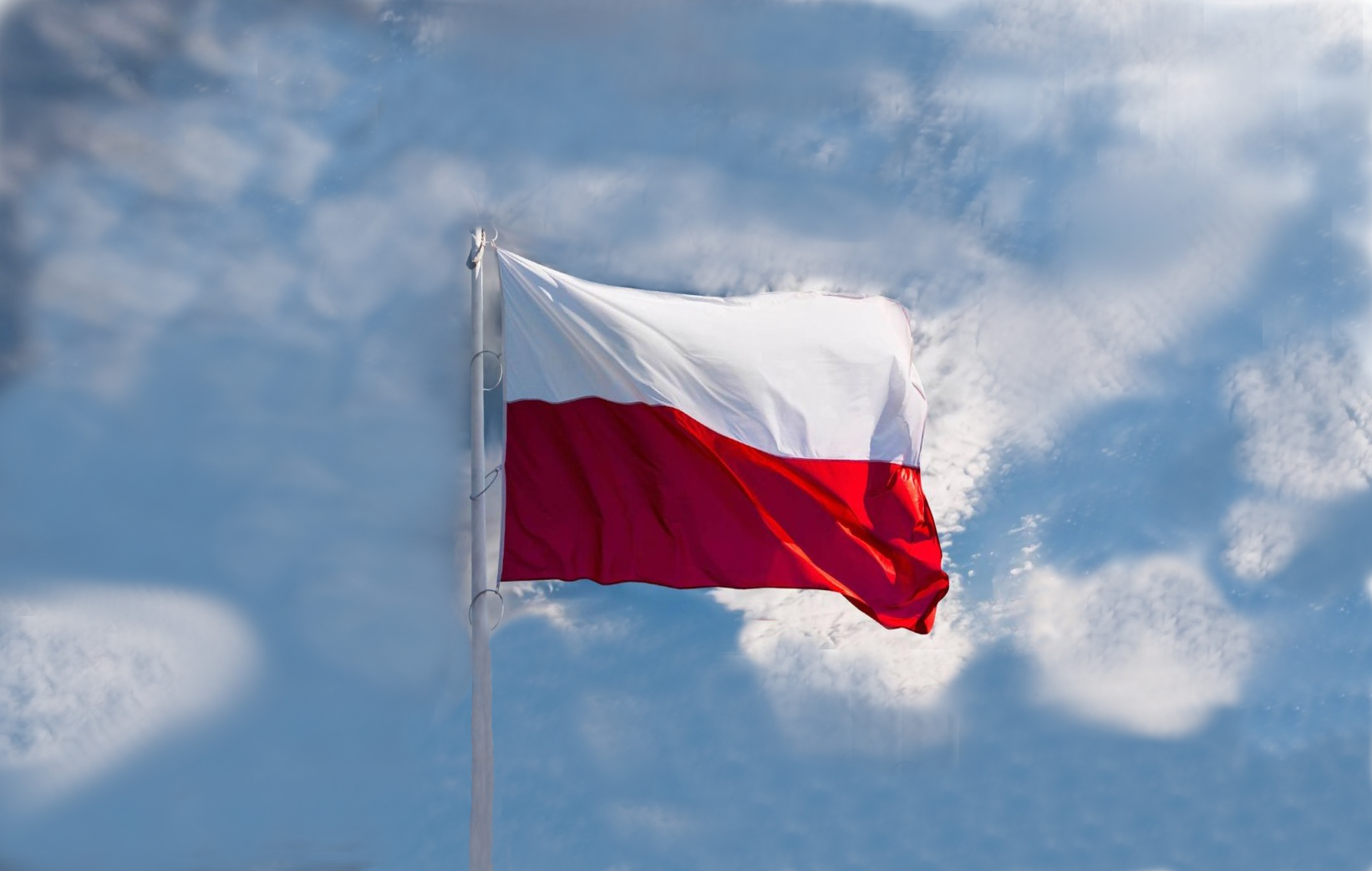 Zdjęcie Flagi RP