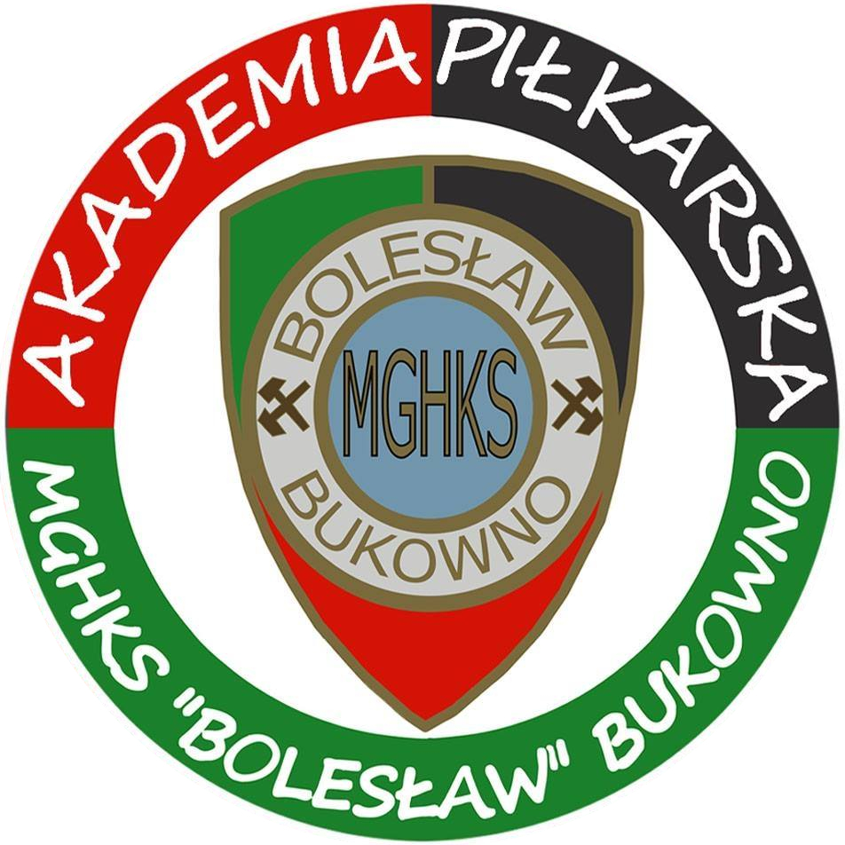 Logo AP MGHKS Bolesław Bukowno