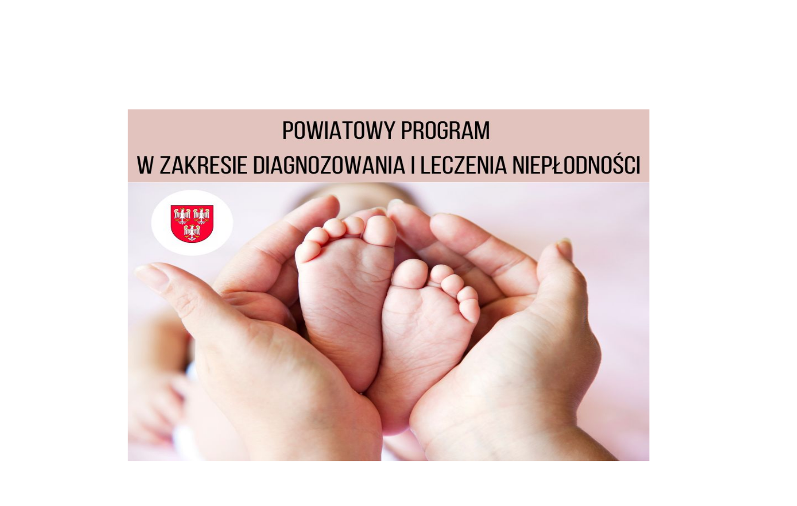 Powiatowy program w zakresie diagnozowania i leczenia niepłodności