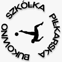 Logo Szkółki Piłkarskiej Akademii Bukowno