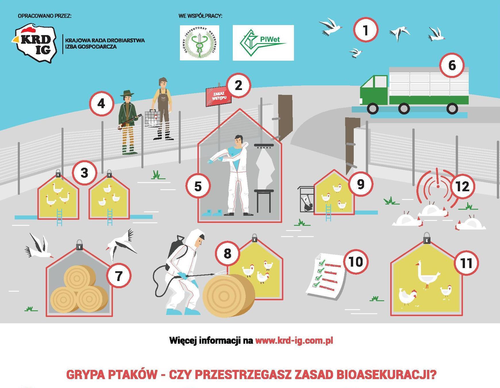 Plakat "Grypa ptaków czy przestrzegasz zasad bioasekuracji" 