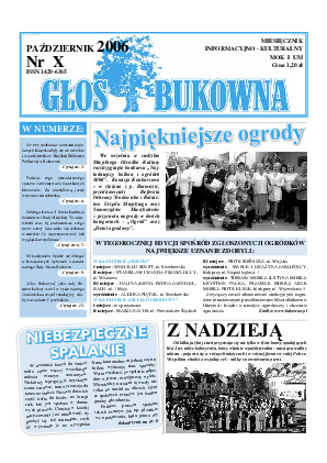 Okładka: Nr X/2006