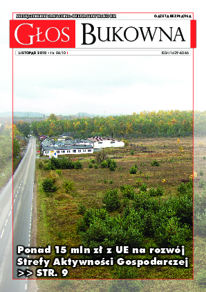 Okładka: Nr XI/2010