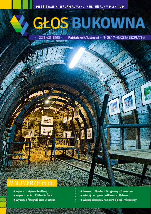 Okładka: Nr X-XI/2017