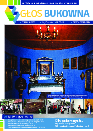 Okładka: Nr V-VI/2013