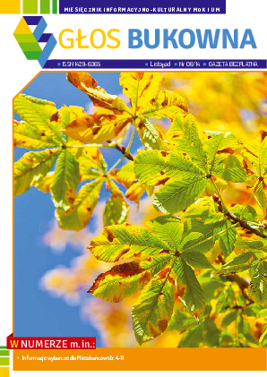 Okładka: Nr XI/2014