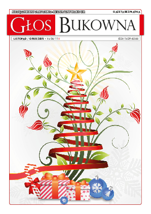 Okładka: Nr XI-XII/2011